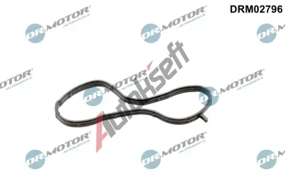 Dr.Motor Automotive Tsnn pruby chladiva DMA DRM02796, DRM02796