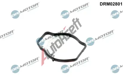 Dr.Motor Automotive Tsnn, hrdlo krtc klapky DMA DRM02801, DRM02801