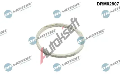 Dr.Motor Automotive Těsnění výfukové trubky DMA DRM02807, DRM02807 Dr.Motor Automotive Těsnění výfukové trubky DMA DRM02807, DRM02807