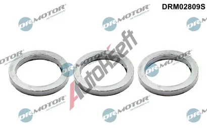 Dr.Motor Automotive Sada t�sn�n� kolektoru v�fukov�ch plyn� DMA DRM02809S, DRM02809S