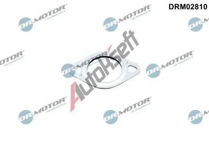 Dr.Motor Automotive Tsnn veden AGR ventilu DMA DRM02810, DRM02810