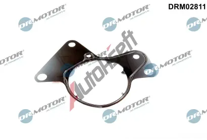 Dr.Motor Automotive Těsnění palivového čerpadla DMA DRM02811, DRM02811 Dr.Motor Automotive Těsnění palivového čerpadla DMA DRM02811, DRM02811