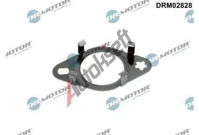 Dr.Motor Automotive Tsnn veden AGR ventilu DMA DRM02828, DRM02828