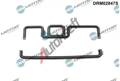 Dr.Motor Automotive T�sn�n� rozvodov�ho �stroj� DMA DRM02847S, DRM02847S