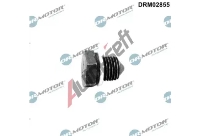 Dr.Motor Automotive Závitová zátka olejové vany DMA DRM02855, DRM02855 Dr.Motor Automotive Závitová zátka olejové vany DMA DRM02855, DRM02855