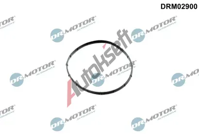 Dr.Motor Automotive Těsnění vakuového čerpadla DMA DRM02900, DRM02900 Dr.Motor Automotive Těsnění vakuového čerpadla DMA DRM02900, DRM02900