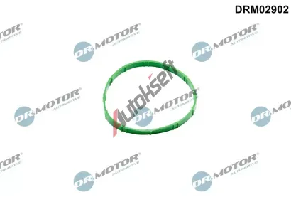Dr.Motor Automotive T�sn�n�, hrdlo �krt�c� klapky DMA DRM02902, DRM02902