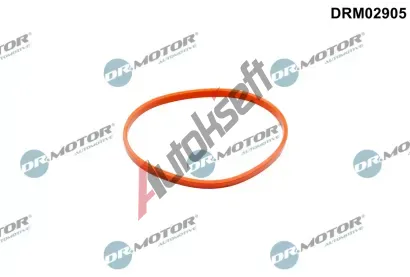Dr.Motor Automotive Těsnění, hrdlo škrtící klapky DMA DRM02905, DRM02905 Dr.Motor Automotive Těsnění, hrdlo škrtící klapky DMA DRM02905, DRM02905