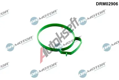 Dr.Motor Automotive Tsnn, hrdlo krtc klapky DMA DRM02906, DRM02906
