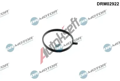 Dr.Motor Automotive Těsnicí kroužek kompresoru DMA DRM02922, DRM02922 Dr.Motor Automotive Těsnicí kroužek kompresoru DMA DRM02922, DRM02922