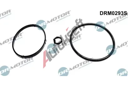 Dr.Motor Automotive Sada tsnn chladie oleje DMA DRM0293S, DRM0293S