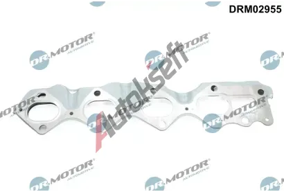 Dr.Motor Automotive Tsnn kolektoru vfukovch plyn DMA DRM02955, DRM02955