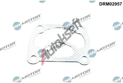 Dr.Motor Automotive Těsnění dmychadla DMA DRM02957, DRM02957 Dr.Motor Automotive Těsnění dmychadla DMA DRM02957, DRM02957