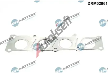 Dr.Motor Automotive Těsnění kolektoru výfukových plynů DMA DRM02961, DRM02961 Dr.Motor Automotive Těsnění kolektoru výfukových plynů DMA DRM02961, DRM02961