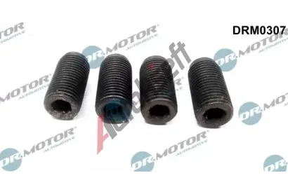Dr.Motor Automotive Seřizovací šroub vstřikovacího čerpadla DMA DRM0307, DRM0307 Dr.Motor Automotive Seřizovací šroub vstřikovacího čerpadla DMA DRM0307, DRM0307