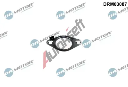 Dr.Motor Automotive Tsnn AGR ventilu DMA DRM03087, DRM03087