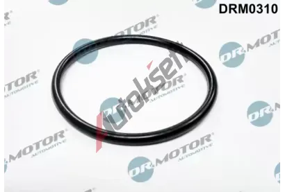 Dr.Motor Automotive Tsnn, hrdlo krtc klapky DMA DRM0310, DRM0310