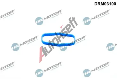 Dr.Motor Automotive Tsnn olejovho erpadla DMA DRM03100, DRM03100