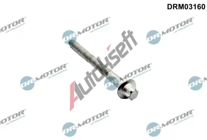 Dr.Motor Automotive �roub hlavy v�lce DMA DRM03160, DRM03160