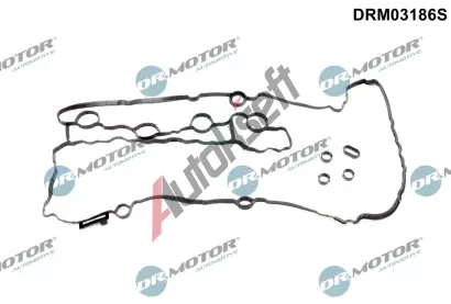 Dr.Motor Automotive Sada tsnn krytu hlavy vlce DMA DRM03186S, DRM03186S