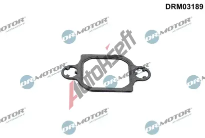 Dr.Motor Automotive Tsnn AGR ventilu DMA DRM03189, DRM03189