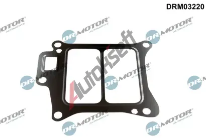 Dr.Motor Automotive Těsnění AGR ventilu DMA DRM03220, DRM03220 Dr.Motor Automotive Těsnění AGR ventilu DMA DRM03220, DRM03220