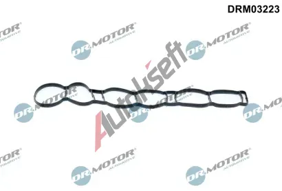 Dr.Motor Automotive Těsnění kolena sacího potrubí DMA DRM03223, DRM03223 Dr.Motor Automotive Těsnění kolena sacího potrubí DMA DRM03223, DRM03223