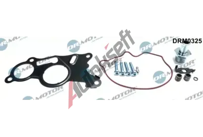 Dr.Motor Automotive Opravná sada podtlakové pumpy (brzdová soustava) DMA DRM0325, DRM0325 Dr.Motor Automotive Opravná sada podtlakové pumpy (brzdová soustava) DMA DRM0325, DRM0325