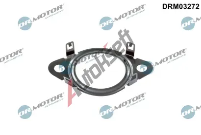 Dr.Motor Automotive Tsnn veden AGR ventilu DMA DRM03272, DRM03272