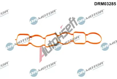 Dr.Motor Automotive Těsnění kolena sacího potrubí DMA DRM03285, DRM03285 Dr.Motor Automotive Těsnění kolena sacího potrubí DMA DRM03285, DRM03285