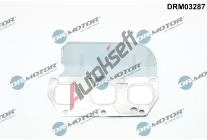 Dr.Motor Automotive Tsnn kolektoru vfukovch plyn DMA DRM03287, DRM03287