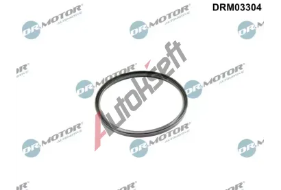 Dr.Motor Automotive Těsnicí kroužek hadice plnicího vzduchu DMA DRM03304, DRM03304 Dr.Motor Automotive Těsnicí kroužek hadice plnicího vzduchu DMA DRM03304, DRM03304