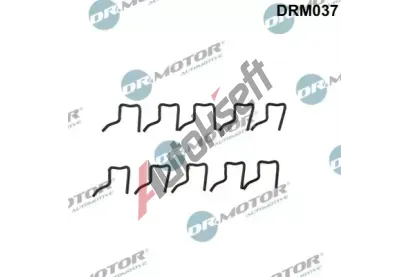 Dr.Motor Automotive Zdrn pruina DMA DRM037, DRM037