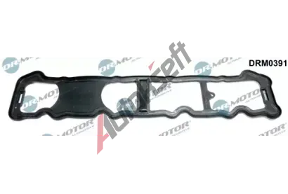 Dr.Motor Automotive Tsnn krytu hlavy vlce DMA DRM0391, DRM0391
