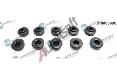 Dr.Motor Automotive T�sn�n� �roub� krytu hlavy v�lce DMA DRM0399S, DRM0399S