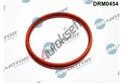Dr.Motor Automotive Těsnění pouzdra kolena sacího potrubí DMA DRM0454, DRM0454 Dr.Motor Automotive Těsnění pouzdra kolena sacího potrubí DMA DRM0454, DRM0454