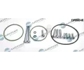 Opravn� sada podtlakov� pumpy (brzdov� soustava)&nbsp;Dr.Motor Automotive&nbsp;&dash;&nbsp;DMA DRM046