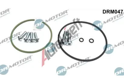 Dr.Motor Automotive Opravná sada podtlakové pumpy (brzdová soustava) DMA DRM047, DRM047 Dr.Motor Automotive Opravná sada podtlakové pumpy (brzdová soustava) DMA DRM047, DRM047