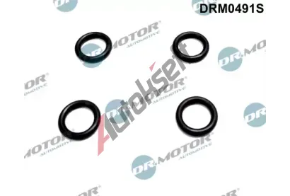 Dr.Motor Automotive Těsnicí kroužek vstřikování DMA DRM0491S, DRM0491S Dr.Motor Automotive Těsnicí kroužek vstřikování DMA DRM0491S, DRM0491S