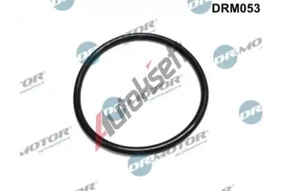 Dr.Motor Automotive Tsnn palivovho filtru DMA DRM053, DRM053