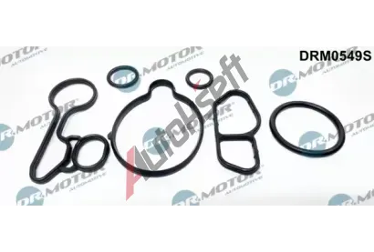 Dr.Motor Automotive Sada t�sn�n� chladi�e oleje DMA DRM0549S, DRM0549S