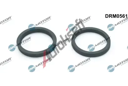 Dr.Motor Automotive Tsnn chladie oleje DMA DRM0561, DRM0561