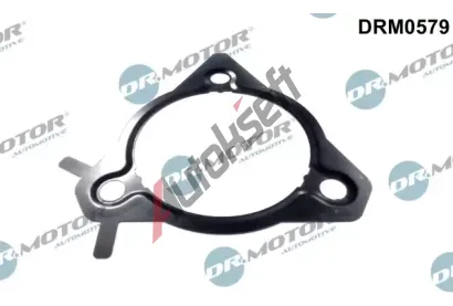 Dr.Motor Automotive Těsnění vstřikovacího čerpadla DMA DRM0579, DRM0579 Dr.Motor Automotive Těsnění vstřikovacího čerpadla DMA DRM0579, DRM0579