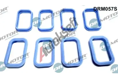 Dr.Motor Automotive Sada těsnění kolena sacího potrubí DMA DRM057S, DRM057S Dr.Motor Automotive Sada těsnění kolena sacího potrubí DMA DRM057S, DRM057S