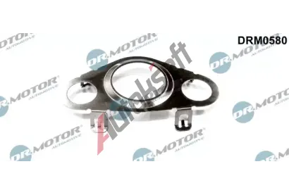 Dr.Motor Automotive Tsnn AGR ventilu DMA DRM0580, DRM0580