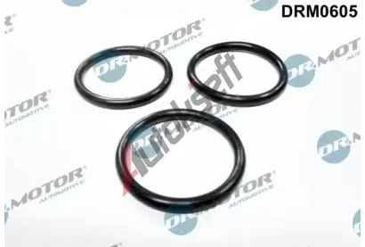 Dr.Motor Automotive Těsnění vodního čerpadla DMA DRM0605, DRM0605 Dr.Motor Automotive Těsnění vodního čerpadla DMA DRM0605, DRM0605