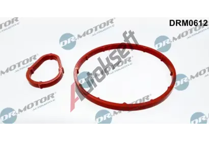 Dr.Motor Automotive Sada tsnn, podtlakov pumpa DMA DRM0612, DRM0612