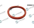 Tsnn, hrdlo krtc klapky Dr.Motor Automotive ‐ DMA DRM0613