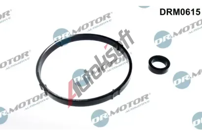 Dr.Motor Automotive Sada tsnn chladie oleje DMA DRM0615, DRM0615