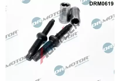 Dr.Motor Automotive Šroub držáku vstřikovací trysky DMA DRM0619, DRM0619 Dr.Motor Automotive Šroub držáku vstřikovací trysky DMA DRM0619, DRM0619